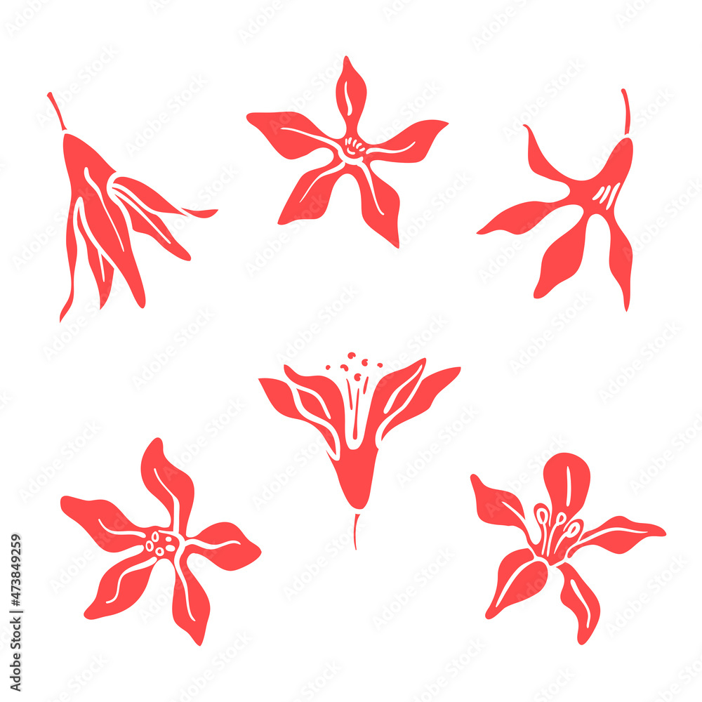 Set of hand drawn Christmas bush flowers isolated on white background. Christmas design icons. Vector illustration