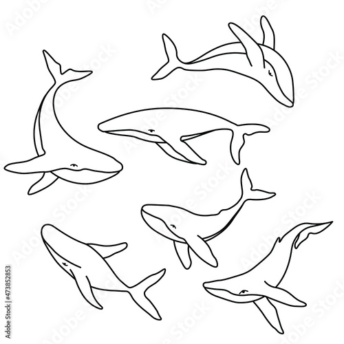Set of six humpback whales minimalist simple outline vector logo illustration. Isolated contour whale drawing on white background