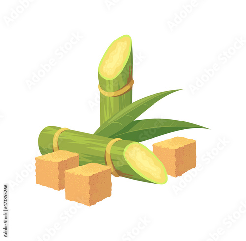 Sugar cubes with cane stalks. Sugarcane plants agriculture, cartoon vector flat icon illustration