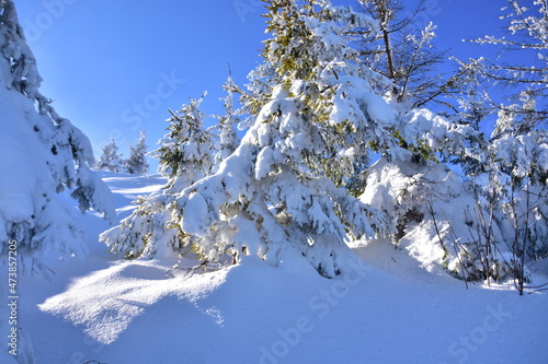 Fototapeta Naklejka Na Ścianę i Meble -  Skrzyczne Peak, Beskidy Mountains, Poland, winter, snow,