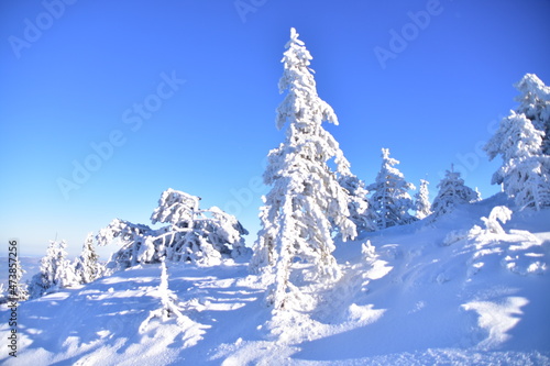 Fototapeta Naklejka Na Ścianę i Meble -  Skrzyczne Peak, Beskidy Mountains, Poland, winter, snow,