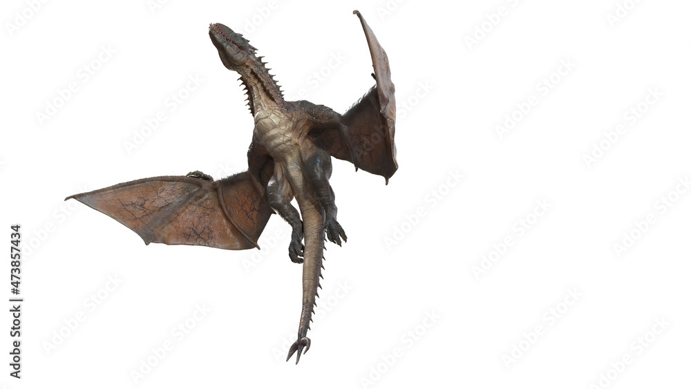 Wyvern Rex Slow Fly Animation Cinematic video, 3d rendering Wyvern Rex Slow Fly Animation Cinematic video, 3d rendering