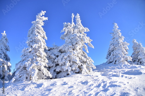 Fototapeta Naklejka Na Ścianę i Meble -  Skrzyczne Peak, Beskidy Mountains, Poland, winter, snow,