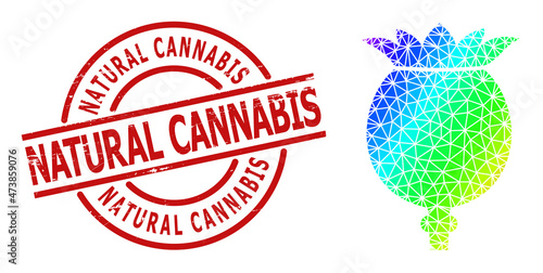 NATURAL CANNABIS dirty stamp seal and lowpoly spectrum colored poppy head icon with gradient. Red stamp contains Natural Cannabis title inside round and lines form.
