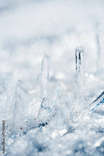 Canvas Print Ice crystal macro photography, background