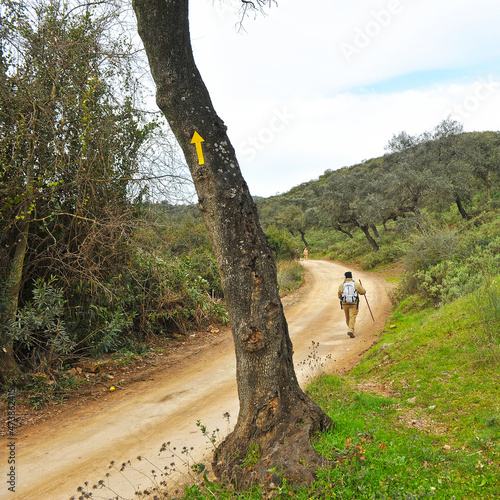 Mozarabic way of St. James (Camino de Santiago), walking from Cordoba to Cerro Muriano in Andalusia, Spain photo