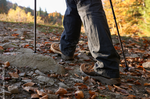 Hiker with trekking poles walking outdoors on sunny day  closeup