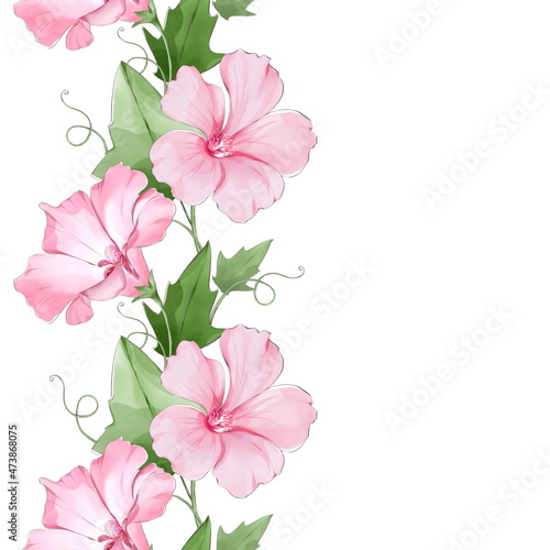 Vegetable border of bindweed flowers. Isolated on white