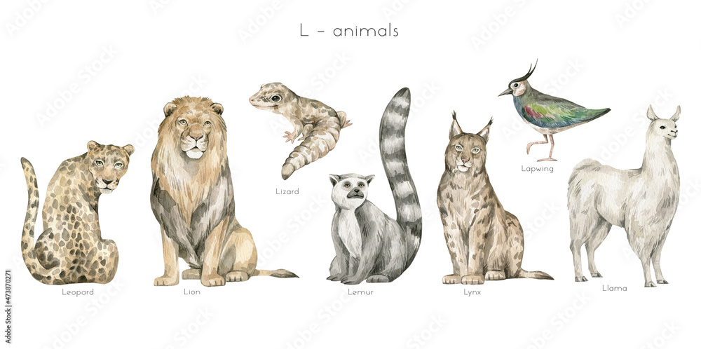 Watercolor wild animals letter L. Leopard, lion, lizard, lemur, lynx,  lapwing bird, llama. Zoo alphabet. Wildlife animals. Educational cards with  animals. Stock Illustration | Adobe Stock