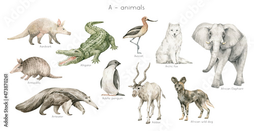 Canvas Print Watercolor wild animals letter A