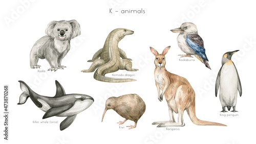 Watercolor wild animals letter K. Koala, komodo dragon, killer whale, kiwi bird, kangaroo, kookaburra, king penguin. Zoo alphabet. Wildlife animals. Educational cards with animals. 