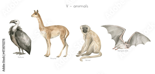 Photography Watercolor wild animals letter V