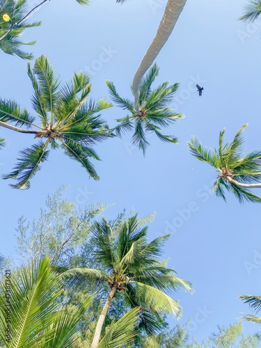 Zanzibar