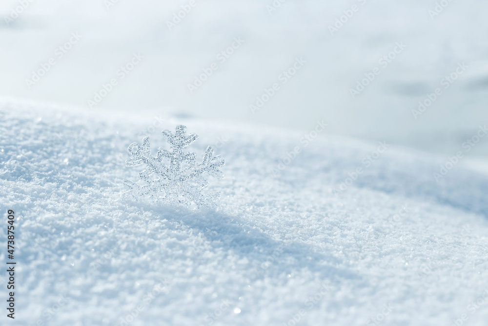 winter snowflake in the snow