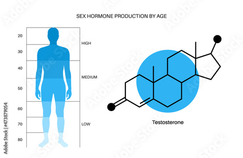 Testosterone level chart