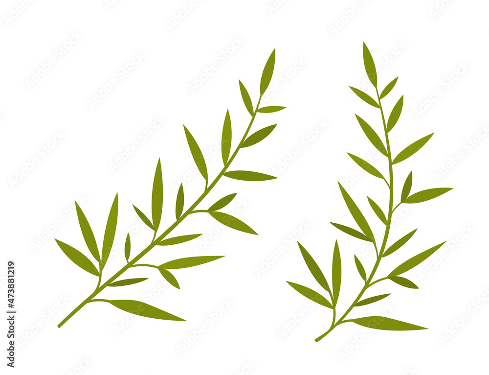Obraz premium Tree branches. Harmonious branches ready for your design. Vector illustration. EPS10. 