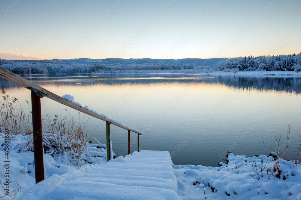 Naklejka premium Winter forest near the lake. Sunny and snowy day.