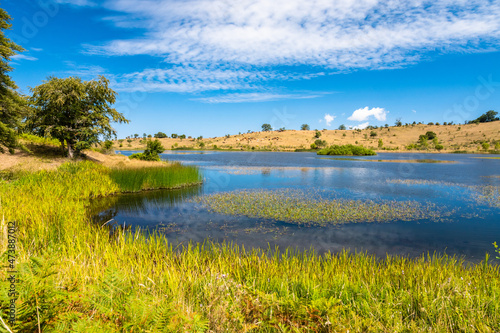 View of Biviere lake on a sunny summer day, Nebrodi National Park, Sicily, Italy
