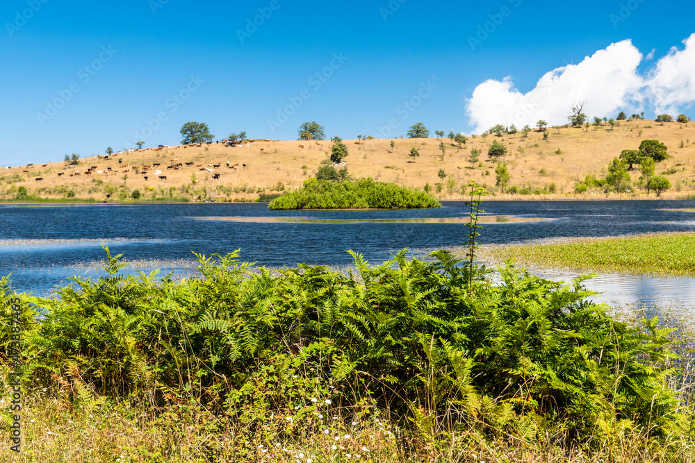 View of Biviere lake on a sunny summer day, Nebrodi National Park, Sicily, Italy View of Biviere lake on a sunny summer day, Nebrodi National Park, Sicily, Italy