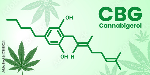 The molecular formula of Cannabigerol CBG - cannabinoid compound of cannabis. Vector banner of a formula with title and marihuana leaf on the light background.