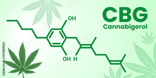The molecular formula of Cannabigerol CBG -  cannabinoid compound of cannabis. Vector banner of a formula with title and marihuana leaf on the light background.