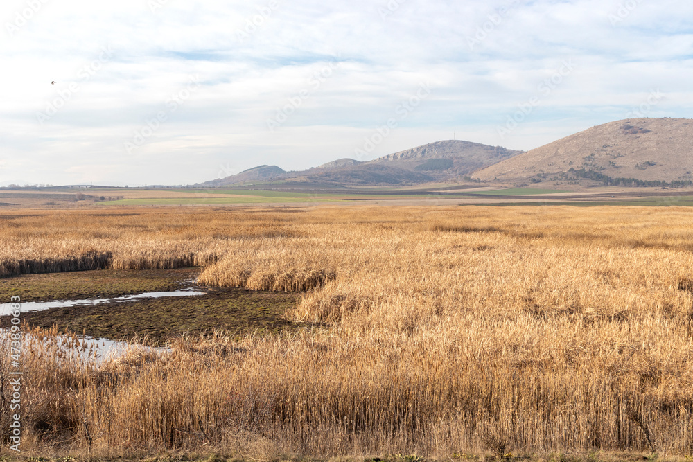 Autumn view of Aldomirovtsi marsh, Bulgaria