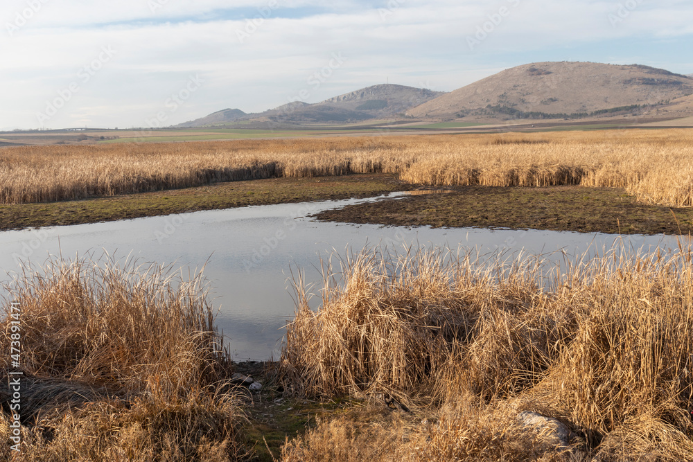 Autumn view of Aldomirovtsi marsh, Bulgaria Autumn view of Aldomirovtsi marsh, Bulgaria