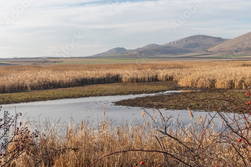 Autumn view of Aldomirovtsi marsh  Bulgaria