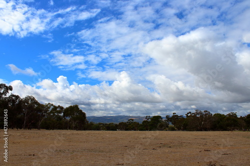 Grass field in north adelaide