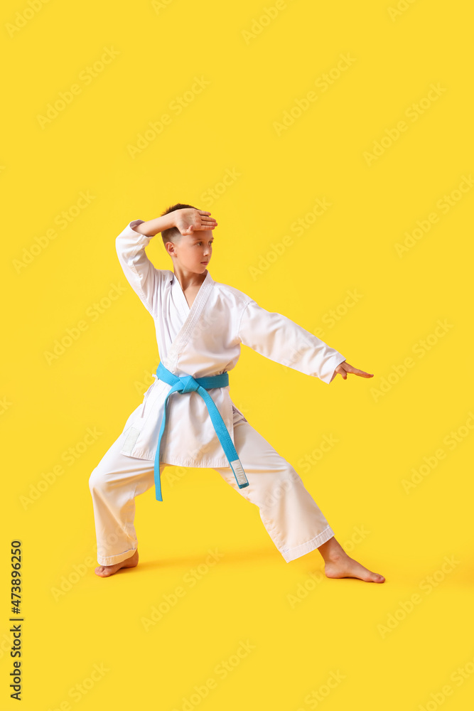 Little boy practicing karate on color background Little boy practicing karate on color background