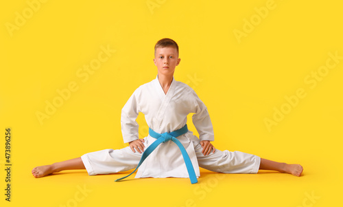 Little boy practicing karate on color background © Pixel-Shot