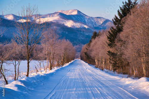 厳冬期の道東地方の雪景色