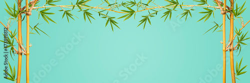 Fototapeta Naklejka Na Ścianę i Meble -  Bamboo branches With Bamboo leaves isolated on green background, Banner Design Bamboo branches With empty space Background, With clipping path,