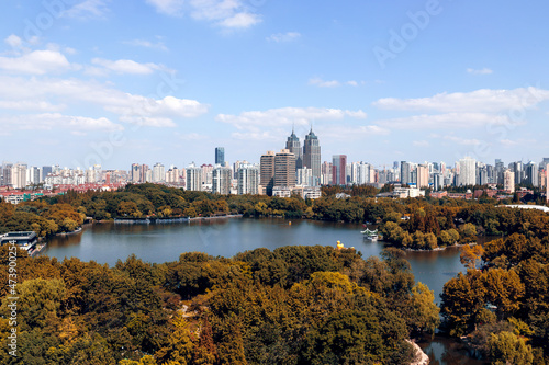 Photography Aerial view of urban skyline and city parks.