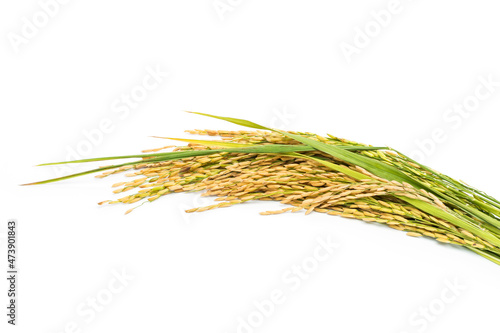 Organic rice or jasmine rice isolated on a white background