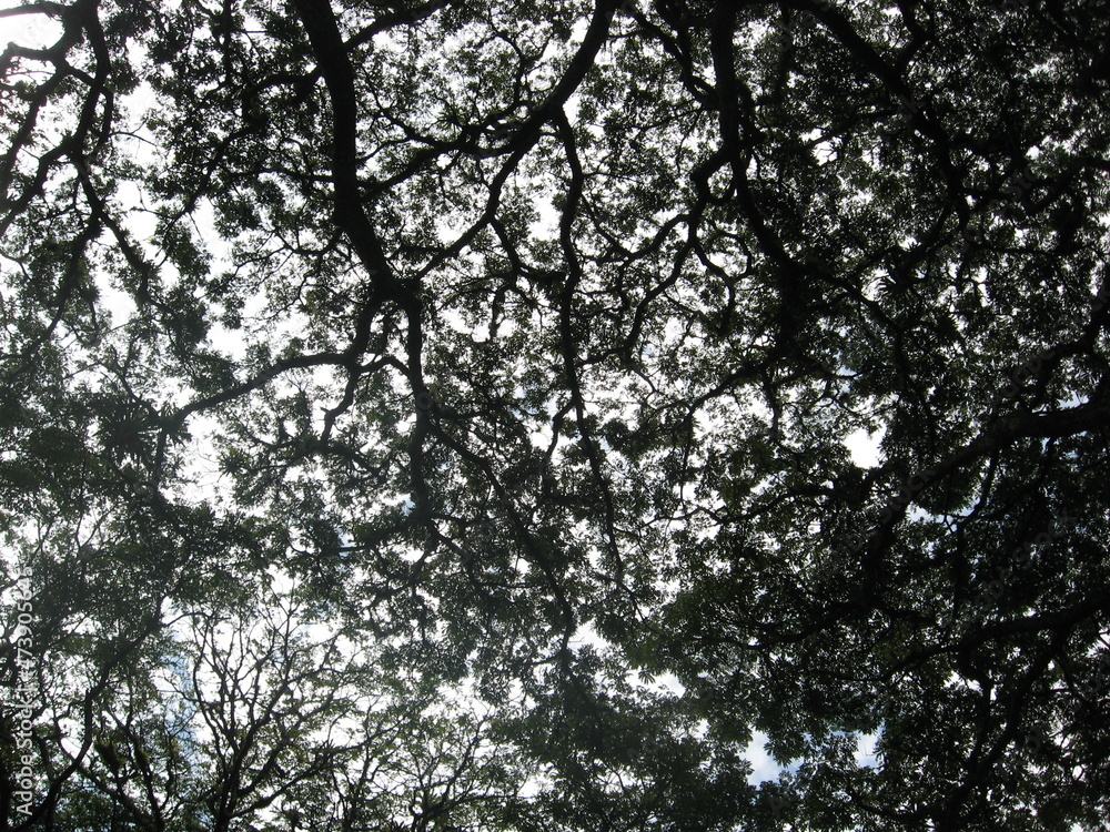 Fototapeta premium background