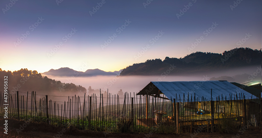 Scenic landscape view of Royal Project Strawberry Plantation on Doi Ang Khang Mountain with Morning Mist at Sunrise, Chiang Mai, Thailand
