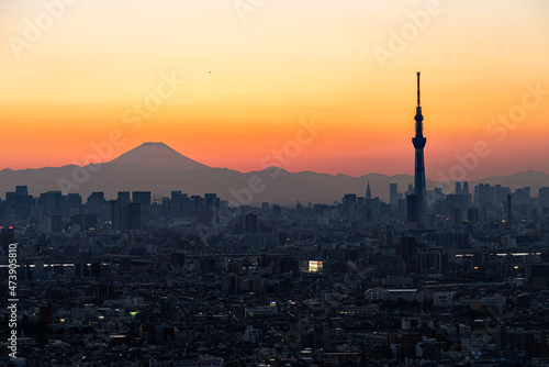 Tokyo Skytree with Fuji mountain background at sunset, Chiba, Japan