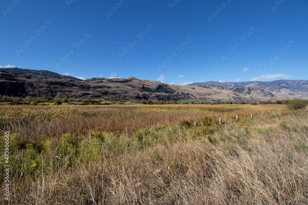 The Osoyoos Oxbows wetlands in British Columbia