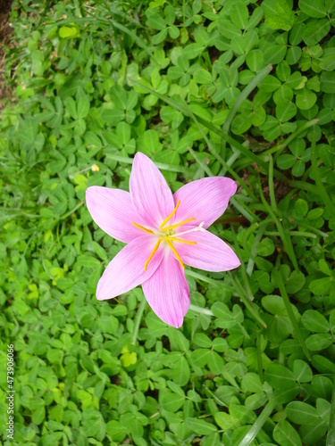 floral