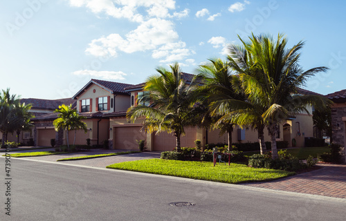 palm trees, Florida golf community neighborhood background