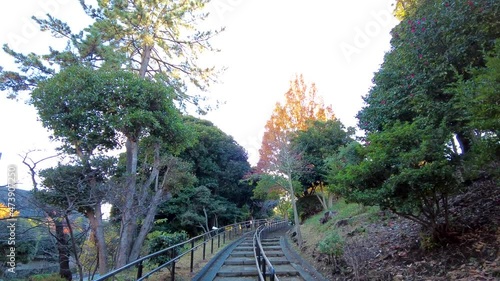 The Beauty of Yokohamashi Nogeyama Park photo