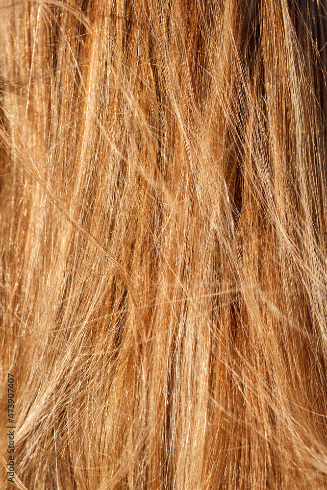 Fototapeta premium close up of golden blonde hair