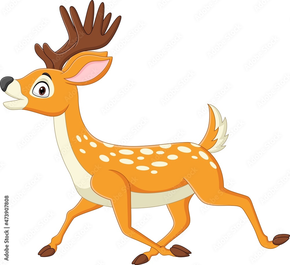 Fototapeta premium Cartoon deer walking on white background