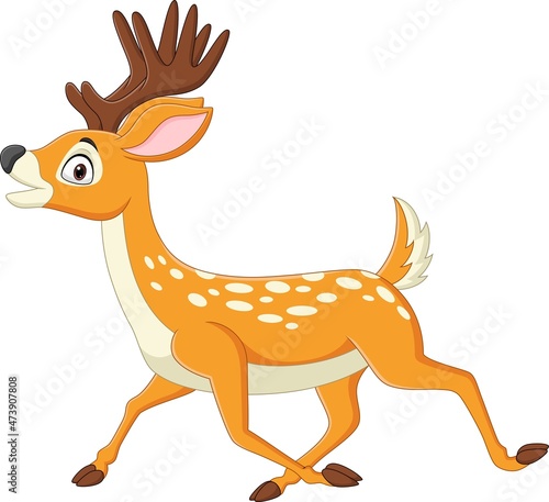 Cartoon deer walking on white background