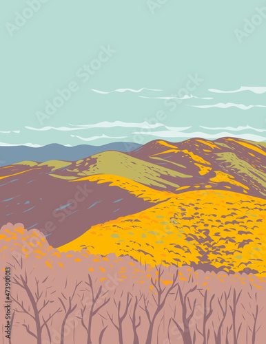 WPA poster art of Lamar Alexander Rocky Fork State Park in the Blue Ridge region of the Appalachian Mountains in Unicoi County East Tennessee USA done in works project administration style.