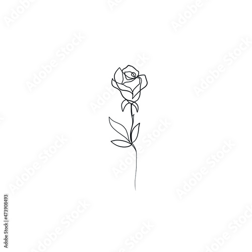 Flower rose in one line continuous style on white background