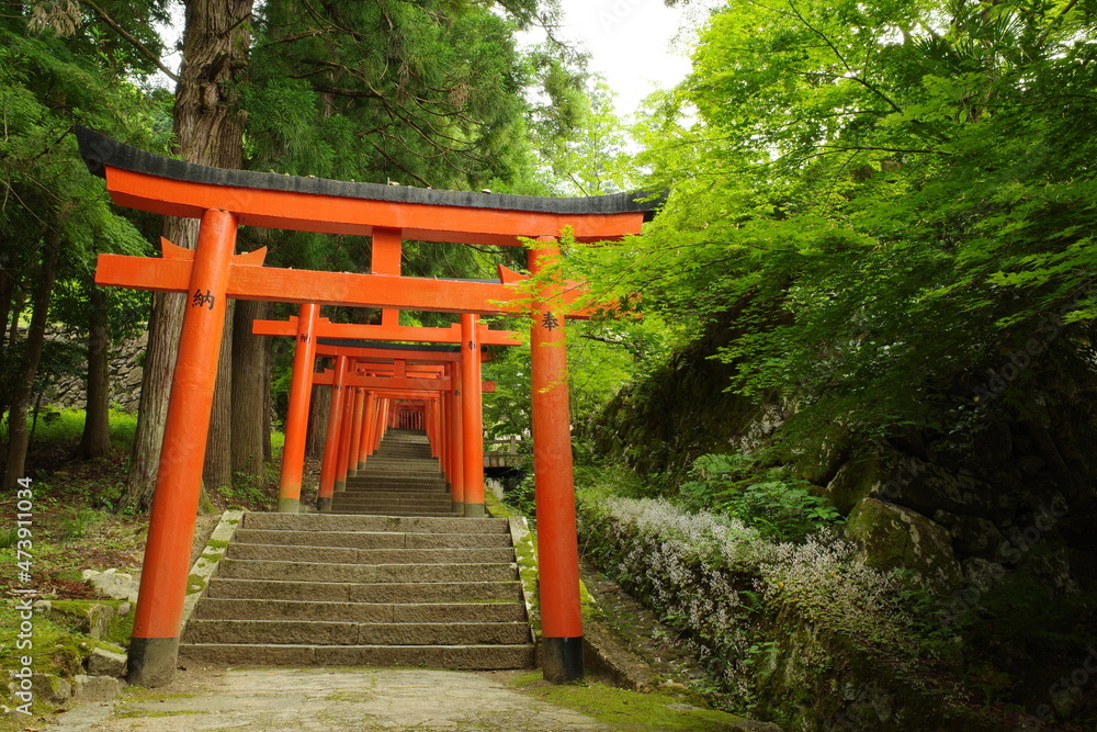 出石の神社境内を撮影 出石の神社境内を撮影