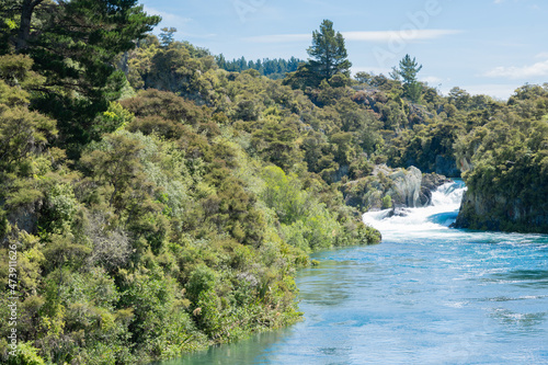 Bush clad Waikato River at place of Arariatia Rapids