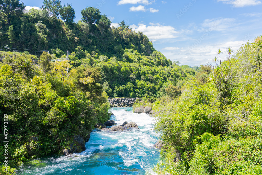 Bush clad Waikato River at place of Arariatia Rapids